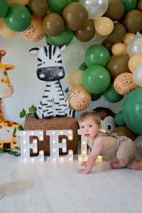 Elize Mare Photography _ Wild One Cake Smash