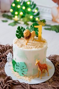 Elize Mare Photography _ Wild One Cake Smash