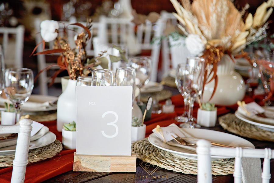 Elize Mare Photgraphy_Nonyane Bush Camp Wedding