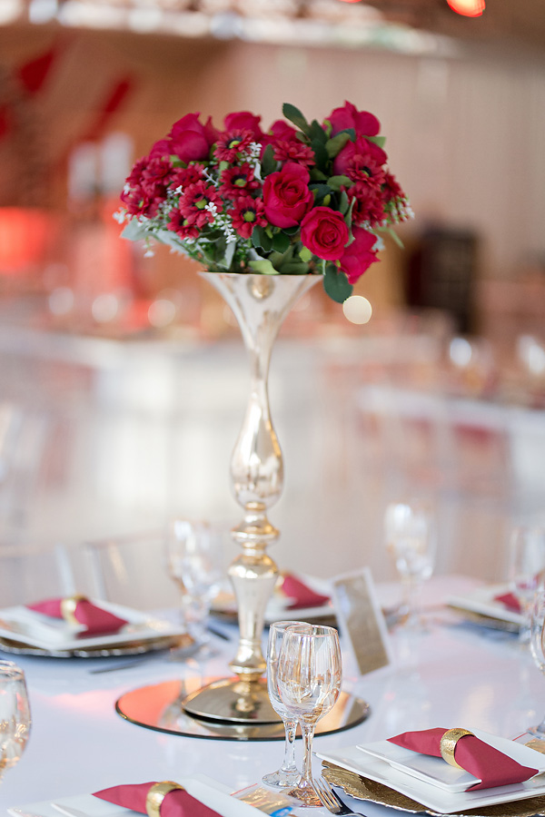 Elize Mare Photography_Wedding_Tashfia and Shahram