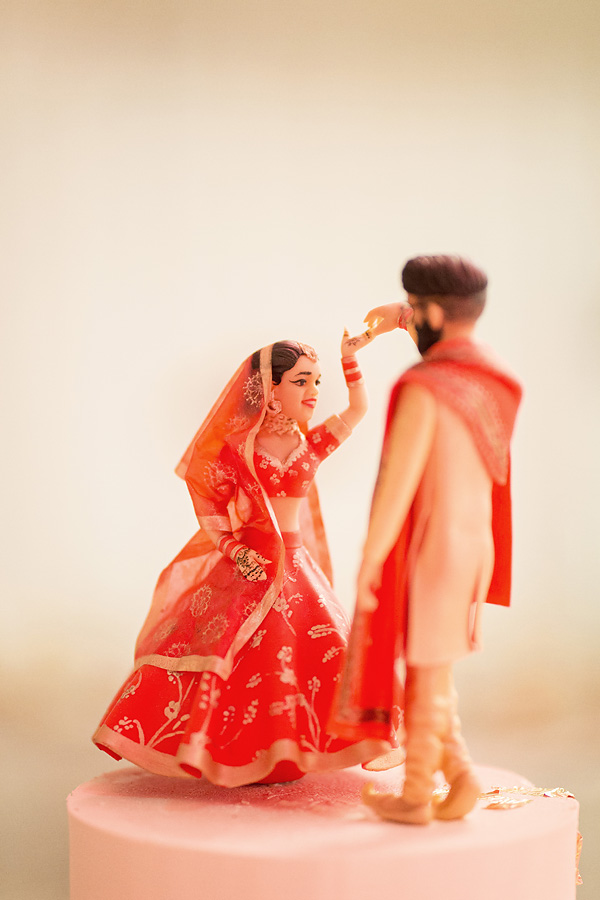 Elize Mare Photography_Wedding_Tashfia and Shahram